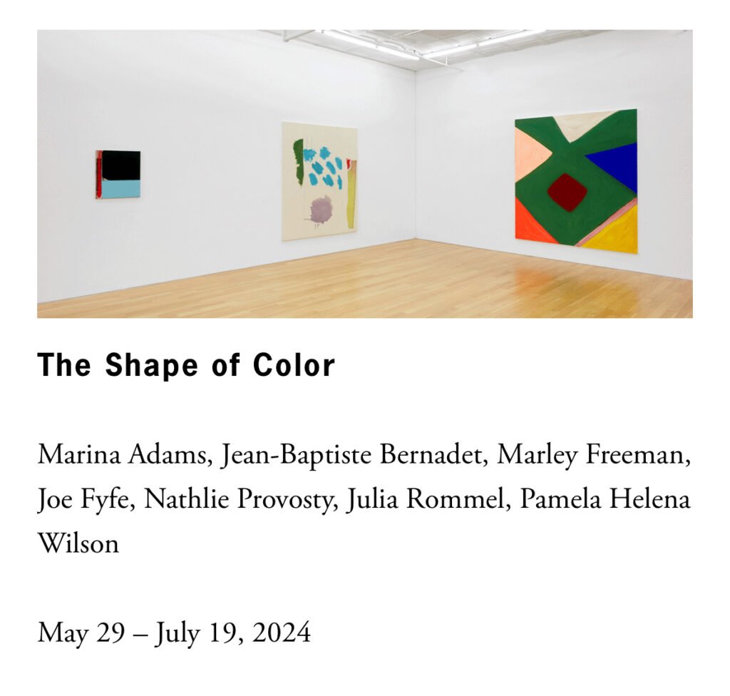 Peter Blum Gallery: A Cultural Beacon and Its Social Impressionism