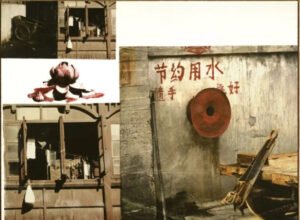 A vibrant mixed-media artwork, Lotus V by Robert Rauschenberg, showcasing layered photographic imagery and textures