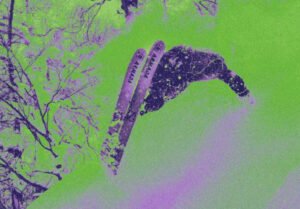 Armada's ORNADA: The game-changing ski film poised to breathe new life into the genre with its high-energy team movie