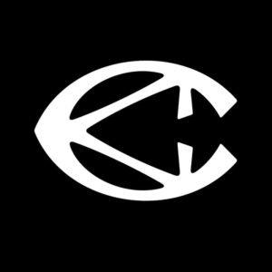 CAMPERLAB’s new twisted reptile-inspired logo designed by Giga Design Studio, symbolizing transformation and bold evolution