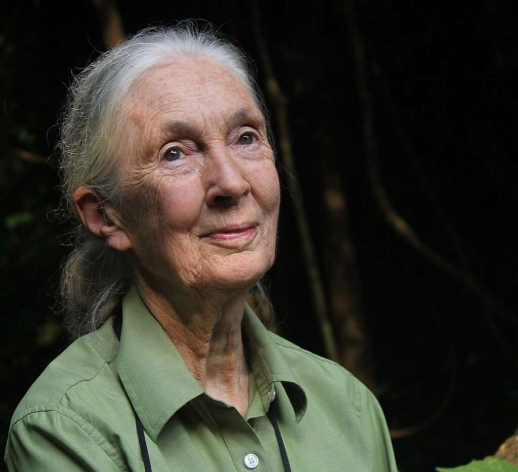 Jane Goodall, wearing a green shirt, gazes thoughtfully upward in a forest setting, symbolizing her lifelong dedication to wildlife and conservation.