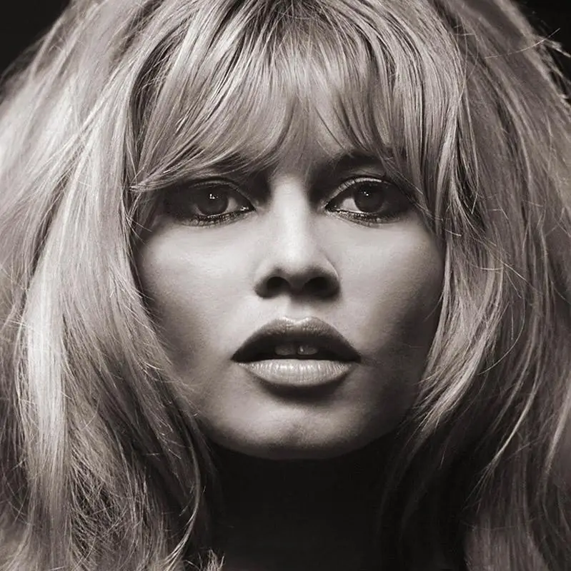 Close-up black-and-white portrait of Brigitte Bardot with voluminous hair, softly parted lips, and intense gaze, highlighting her defining features and enduring cinematic allure