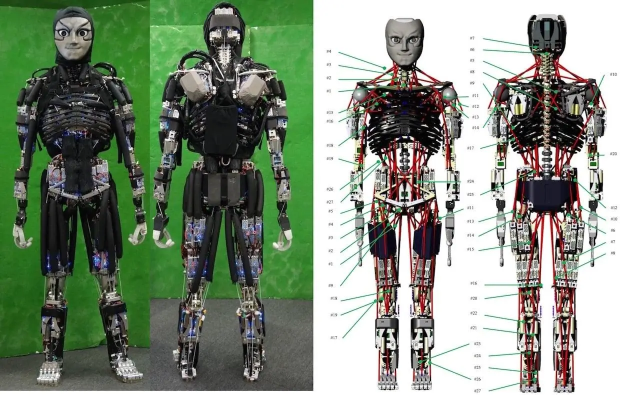 A humanoid robot shown from front and back alongside labeled diagrams revealing its internal mechanical structure, wiring, and skeletal framework