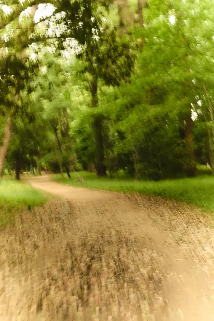 Motion-blurred view of a winding dirt running path cutting through a lush green park filled with tall trees and dense foliage, capturing the immersive, fast-moving sensation of running through nature