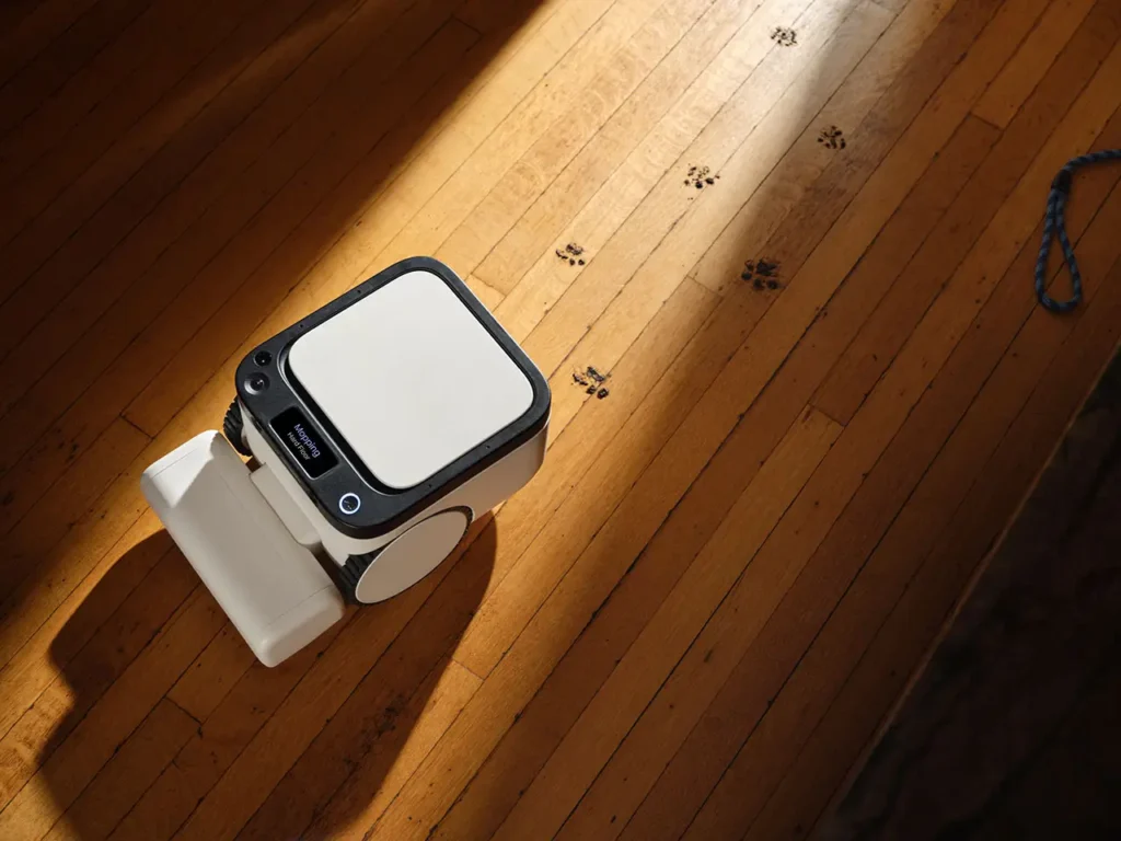 Overhead view of the Matic robot vacuum cleaning hardwood floors in warm sunlight, navigating around view paw prints with its compact AI-powered vacuum and mop system