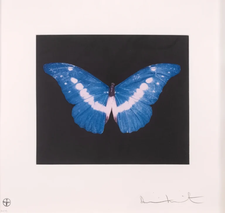 Blue butterfly artwork with luminous white wing markings displayed against a deep black background, surrounded by a white border with edition numbering and an artist signature along the bottom edge