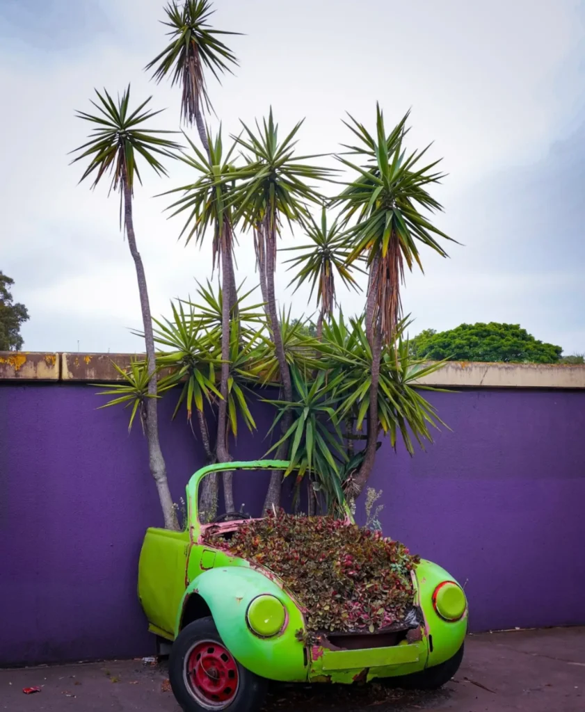 Bright lime-green vintage Volkswagen Beetle shell repurposed as a planter, overflowing with red and green foliage beneath tall palm-like trees against a vivid purple wall on an overcast day