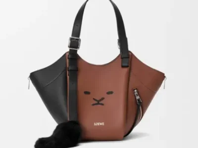 Loewe shoulder bag crafted in brown and black leather with minimalist lion face detailing and a matching fur tail charm