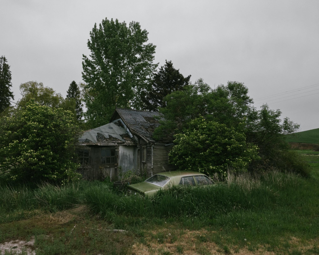 An overgrown abandoned house sits hidden behind dense shrubs and tall grass, with a forgotten vintage car partially concealed in the vegetation