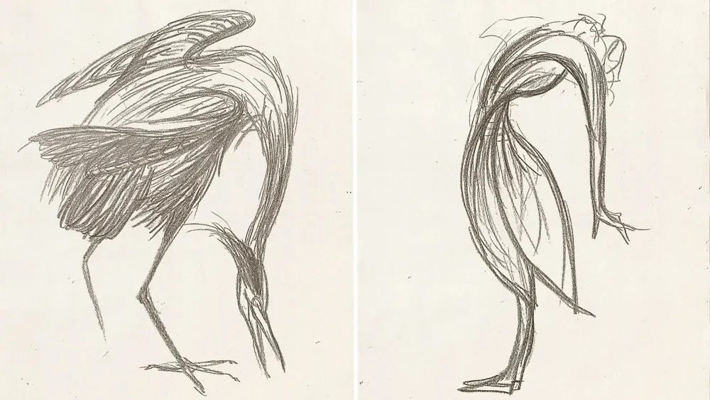Two pages of Yohji Yamamoto pencil sketches depicting long-legged birds with sweeping, expressive lines. The minimalist drawings emphasize flowing forms and movement, revealing the loose, gestural style behind the designer's creative process.