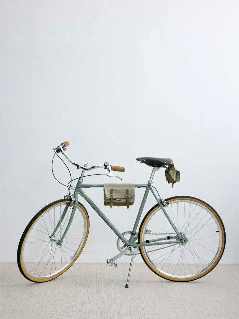 Vintage-inspired mint green city bicycle fitted with matching canvas frame and saddle bags, tan grips, and gumwall tire