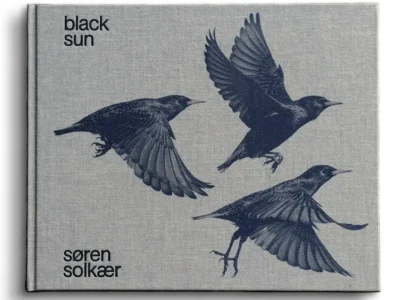 Gray linen hardcover book titled Black Sun by Søren Solkær, featuring three detailed black birds in different stages of flight across the cover. The minimalist design places the title in the upper left and the author's name in the lower left, emphasizing the monochrome avian artwork against the textured fabric background