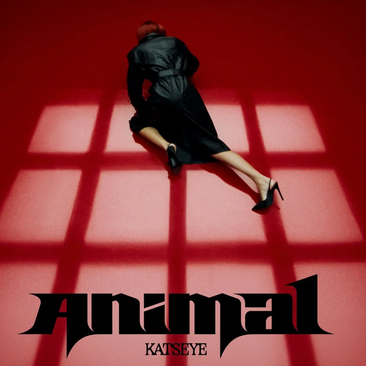 Promotional artwork for KATSEYE's single 'Animal.' A figure wearing a black belted coat and black high heels crawls across a vivid red floor illuminated by dramatic windowpane shadows. The composition is viewed from above, with the oversized black 'Animal' title spanning the bottom and the KATSEYE logo centered beneath it, creating a cinematic, high-fashion aesthetic.