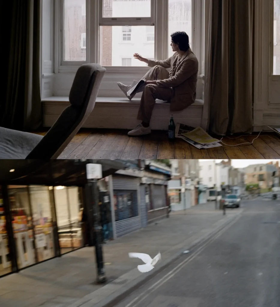 Split image showing a male model in a relaxed beige suit seated on a deep window ledge with reading material, above a white pigeon flying across a reticent London street