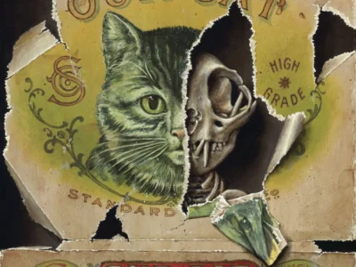 A trompe l'oeil style painting of a torn vintage cat food box reveals a striking split image beneath, with one half showing the face of a green eyed tabby cat and the other exposing a detailed feline skull. Weathered cardboard edges, faded typography reading "Our Cat" and "High Grade," decorative flourishes, and a detached corner fragment enhance the illusion of an aged package peeling away to expose mortality beneath the surface