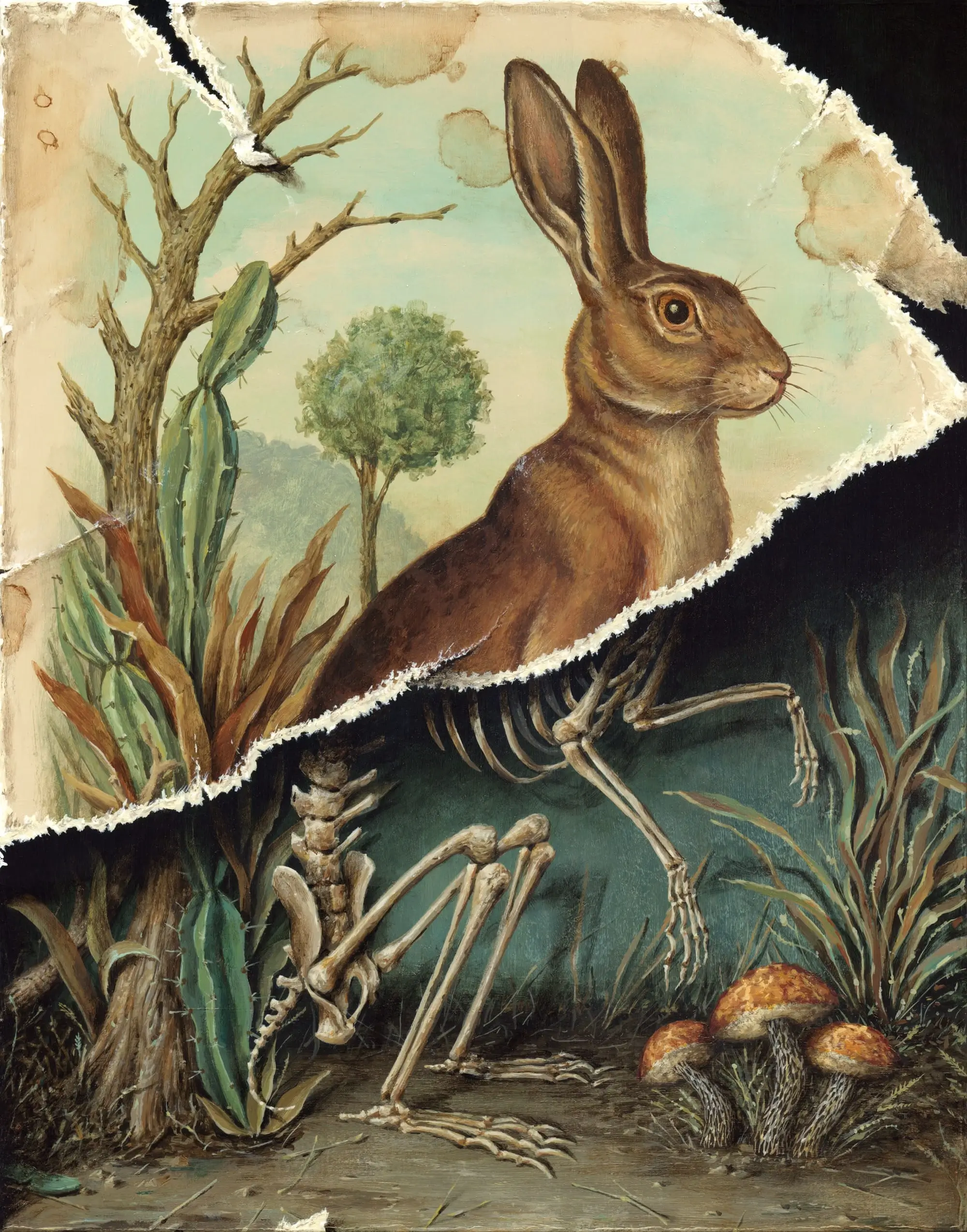 A trompe l'oeil painting depicting a rabbit whose upper body remains fully furred while a torn paper illusion reveals the animal's skeletal lower half beneath. Set within a desert landscape of cacti, shrubs, bare branches, and mushrooms, the composition blends natural history illustration with meticulous hyperrealist illusion.