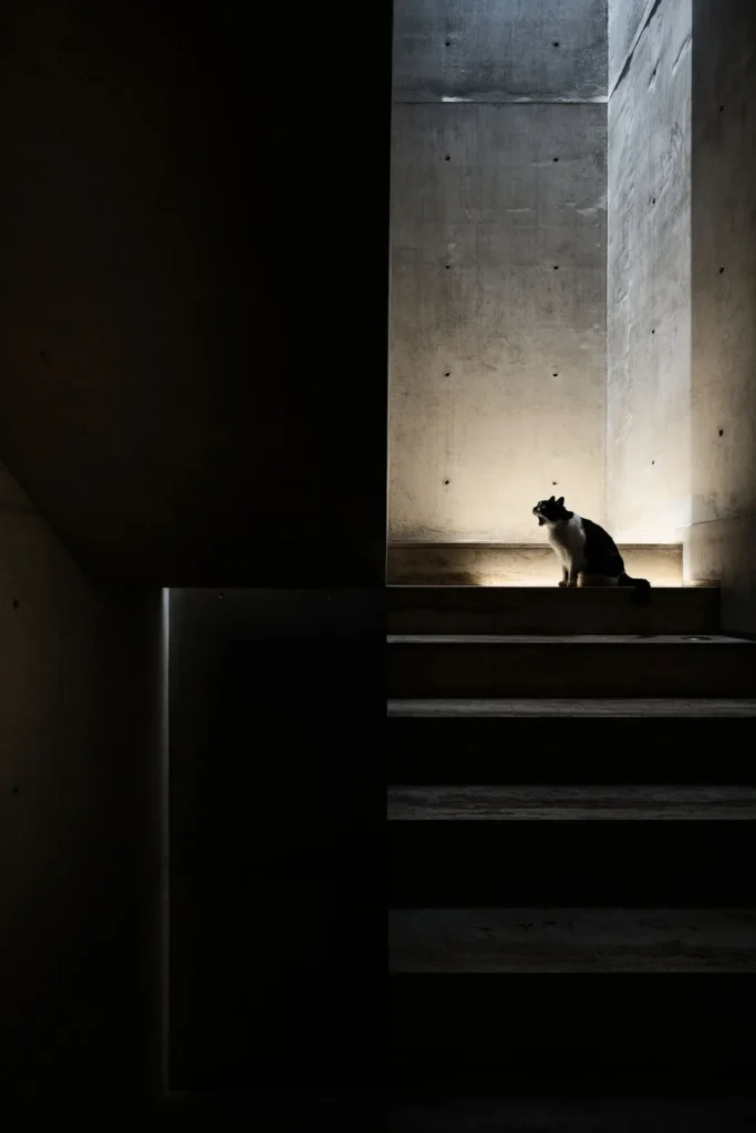Dark min corridor leading to a sunlit concrete wall, polished reflective floor, and a single stone center at the end of the passage