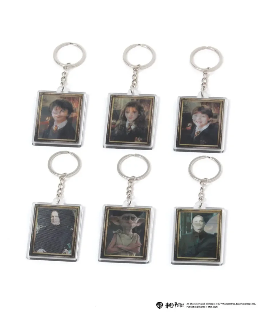 Set of six Harry Potter character portrait keychain arrange on a white background