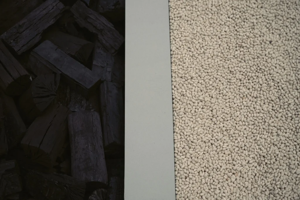 Close-Up Of Contrast Black Charcoal Piece And White Bean Arrange In A Min Divide Install
