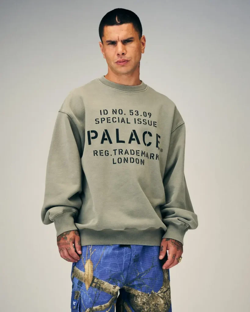 Model stands against a plain backdrop wearing a gray Palace sweatshirt and blue illustrated cargo trousers