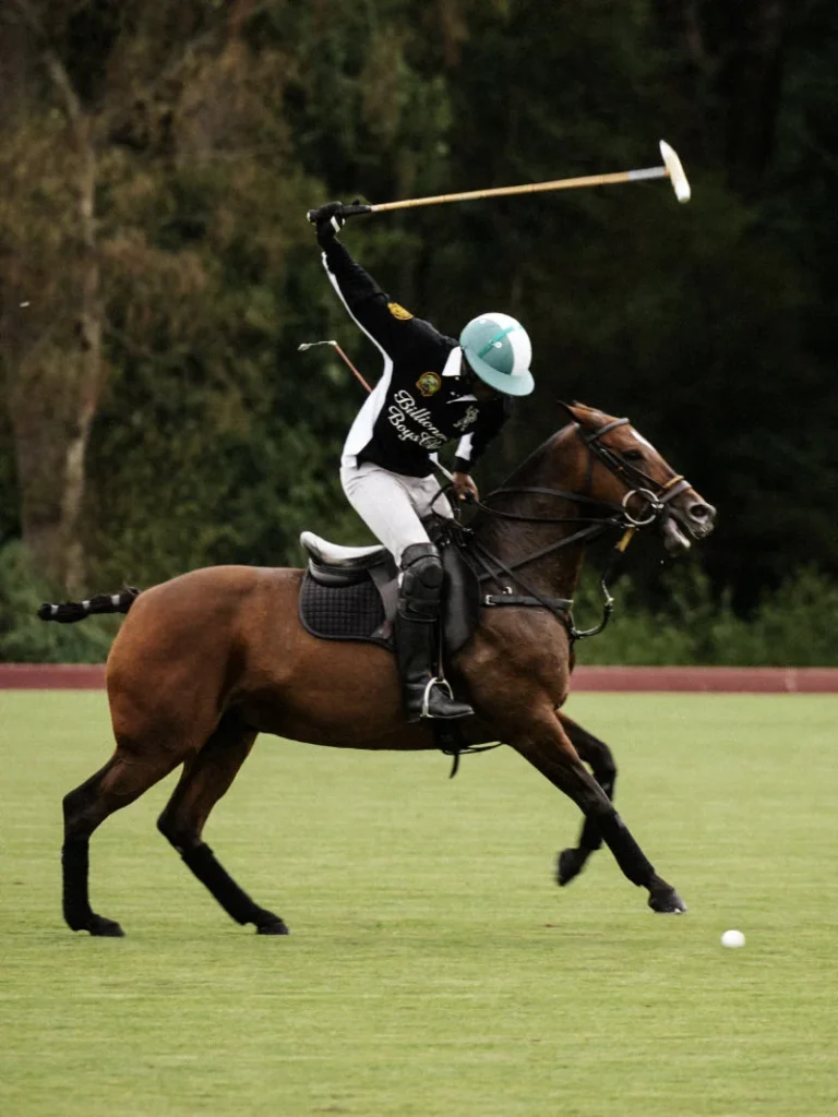 Polo player in a black jersey and white pants swings a mallet while riding a brown horse on grass