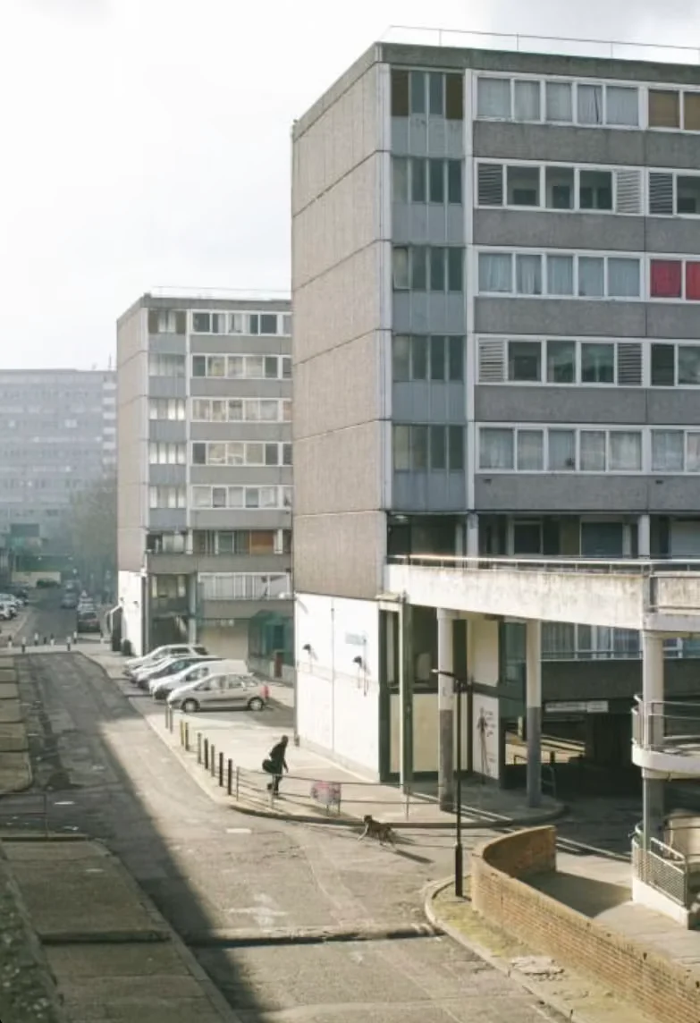 Street view of gray concrete apartment blocks, parked cars, a pedestrian, and a dog beneath an overcast sky