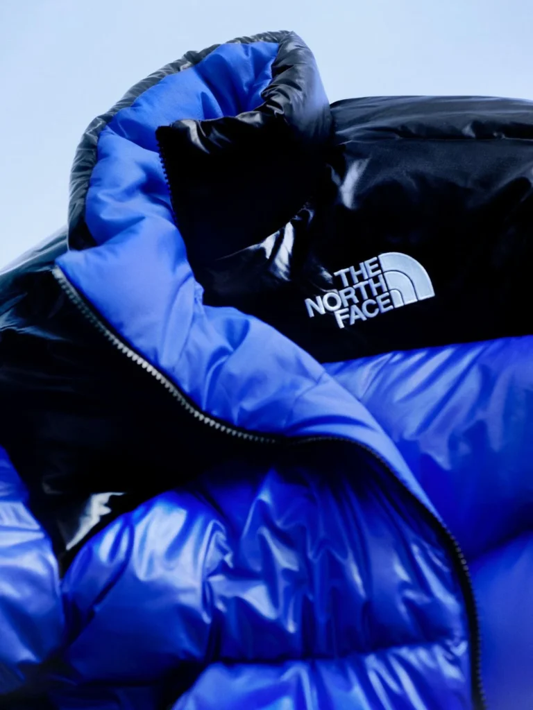 Close-up of a black and cobalt-blue puffer jacket with a hood and The North Face logo against a pale blue background